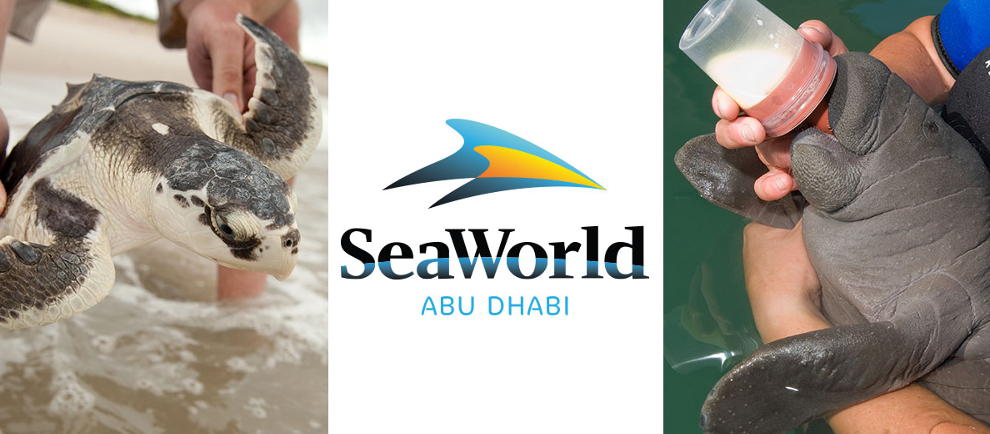 © SeaWorld / Miral