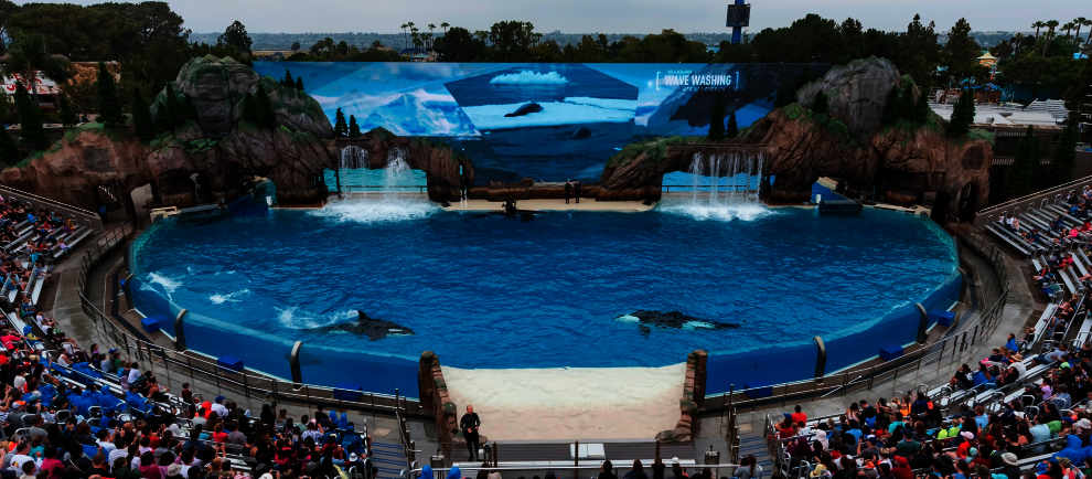 (c) SeaWorld San Diego