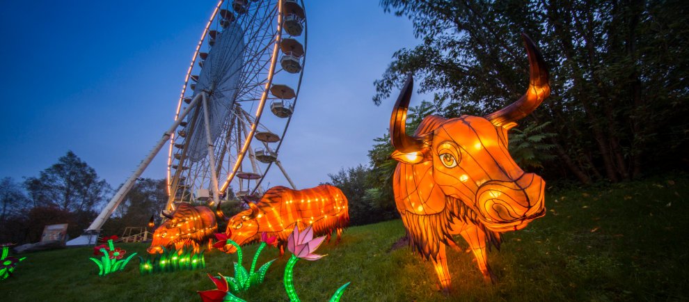 "Lichter Safari" (c) Serengeti-Park Hodenhagen