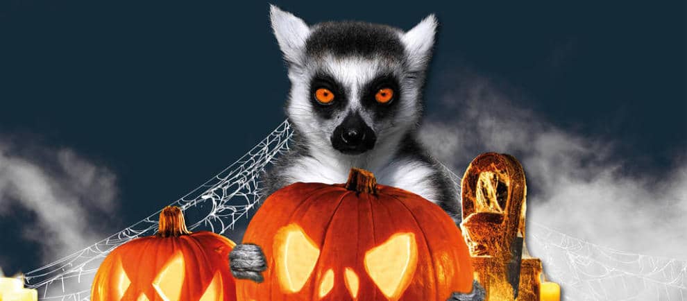 Halloween im Serengeti Park erleben. Die düstere Zeit des Jahres! © Serengeti Park