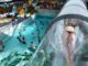 Die Free Fall Rutsche „Green Kick“ geht über das Wellenbecken hinweg © Aquamagis Plettenberg