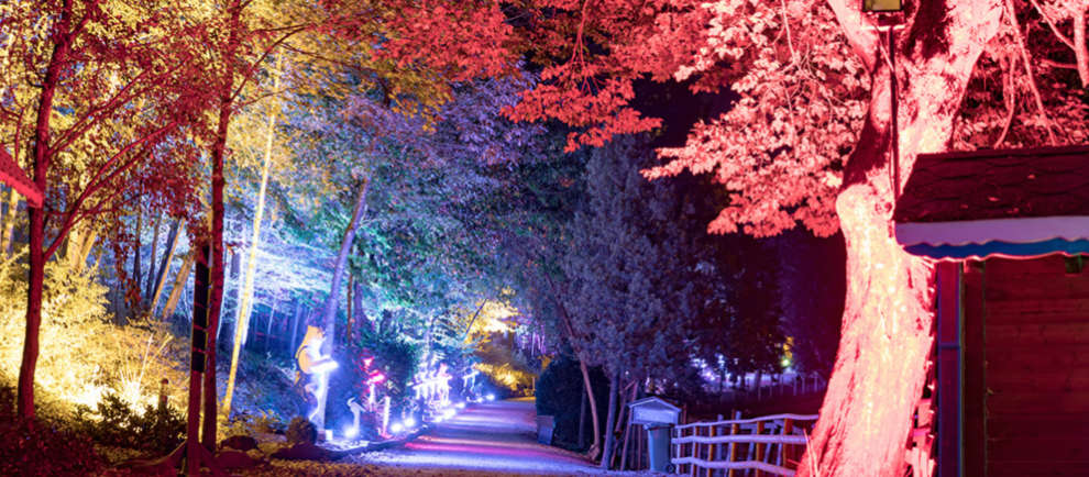 Die Eifelpark Herbstleuchten © Eifelpark