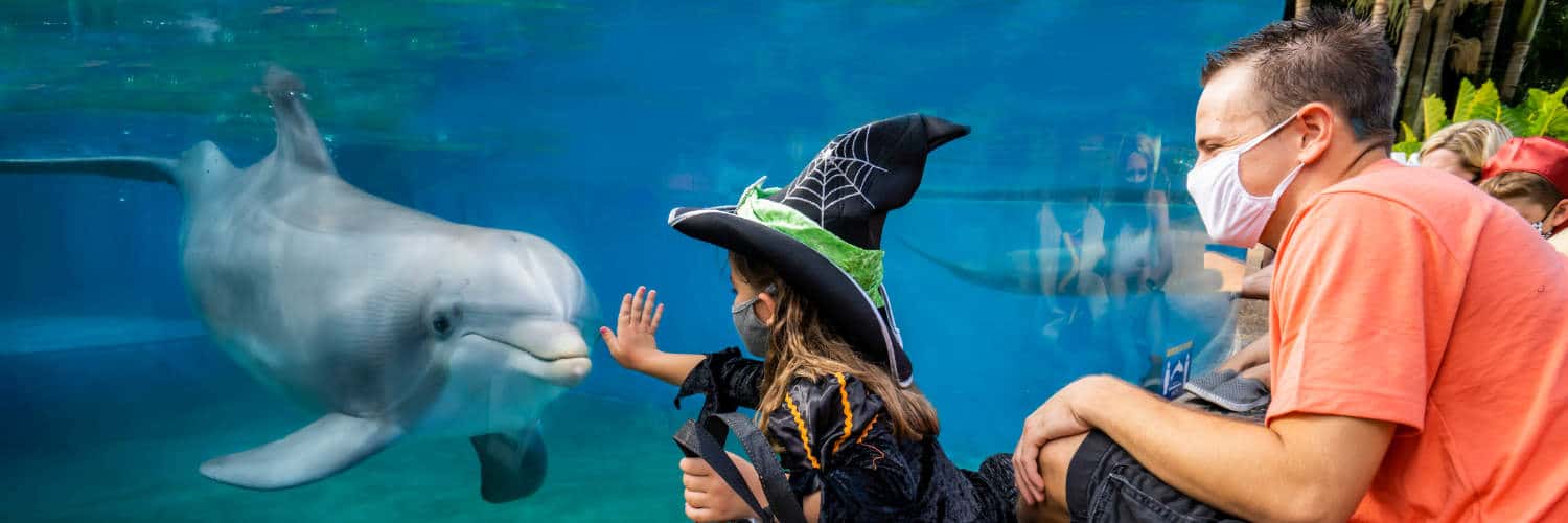 "Halloween Spooktacular" © SeaWorld Orlando