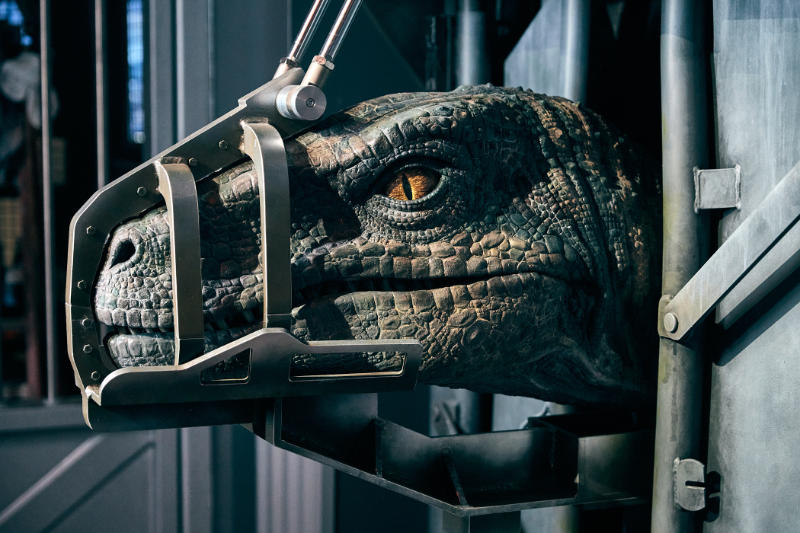 Wie gut sieht das denn Bitteschön aus? Ein Animatronic vom Jurassic World Velocicoaster. © Universal Studios