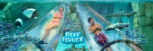 Aquatica Orlando eröffnet 2022 die Wasserrutsche “Reef Plunge”