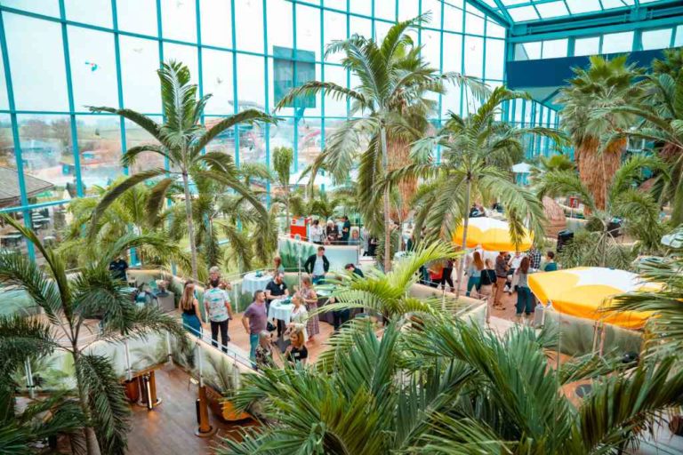 Palm Lounges in der Therme Erding bieten tolle Entspannung