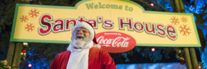 SeaWorld und Busch Gardens schüren mit ihren Events weihnachtliche Vorfreude für die ganze Familie