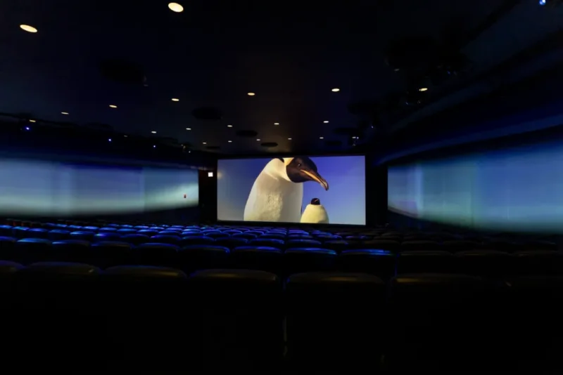 SimEx-Iwerks und Shedd Aquarium setzen neuen Standard für immersive 4D-Erlebnisse 2 © SimEx-Iwerks
