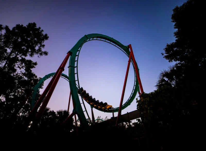 Kumba in Busch Gardens Tampa Bay: Das letzte Brüllen einer Legende 2 Kumba © Busch Gardens Tampa Bay