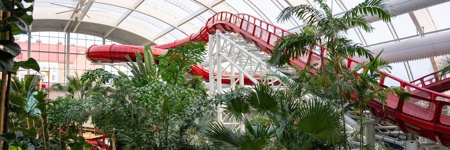 Erste Tickets für Oceana ab Ende November 2026: Das erwartet dich bei Liseberg 5 Oceana © Liseberg